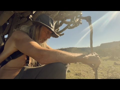 aLL Orange Multimedia_THIS EARTH