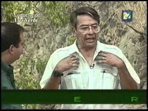 Luz Verde – Retrato falado de Carlos Castañeda (Parte 1)