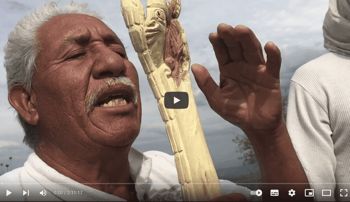 SHOQUI GOSHTI: The Revealing of the Door
